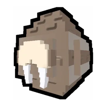 セイウチの卵